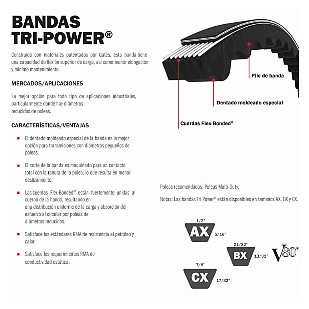 Banda GATES Tipo BX Dentada en V TRI POWER