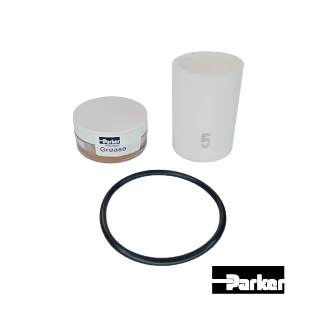 Elemento filtrante Parker P32KA00ESE 5 micras